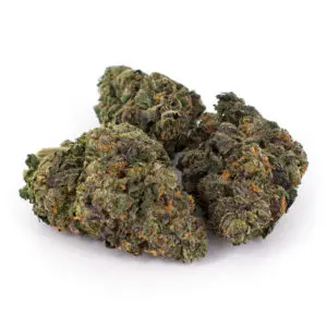 Jet Fuel (AAAA) - Image 2