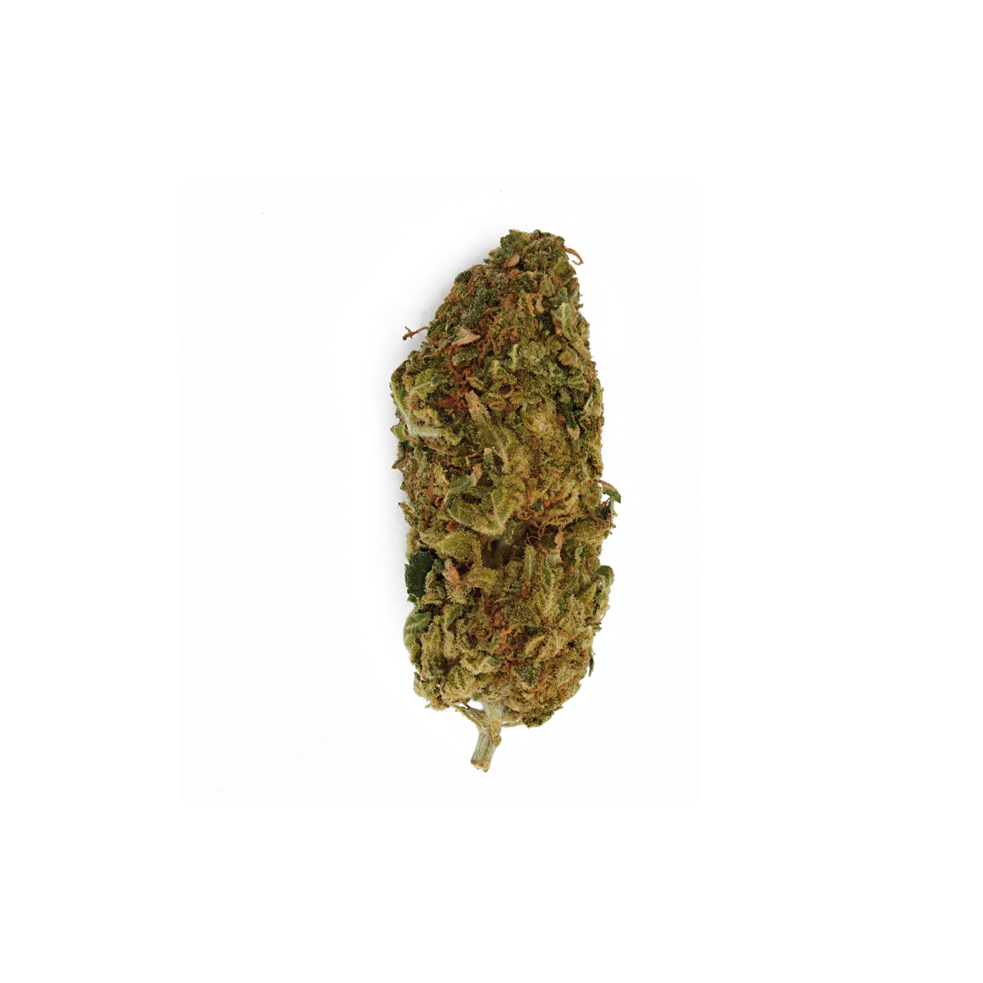 Gelato (AA)