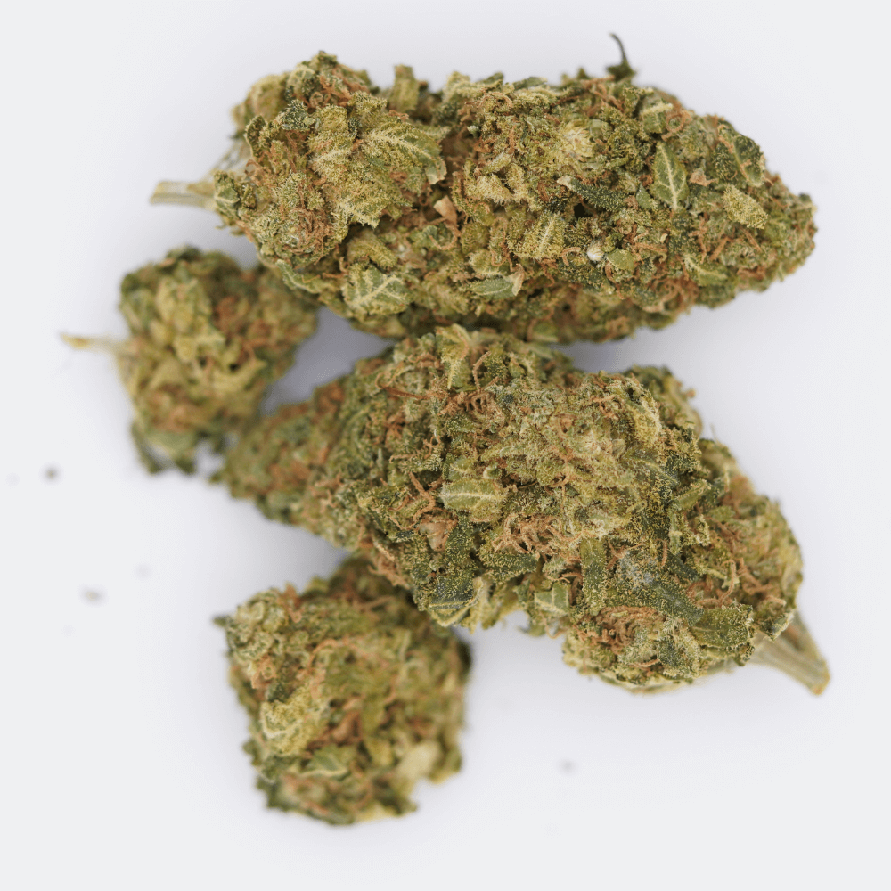 Gelato (AA) - Image 2