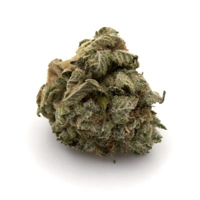 Grease Monkey (AA)