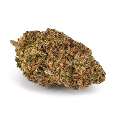 Nuken (AAA)