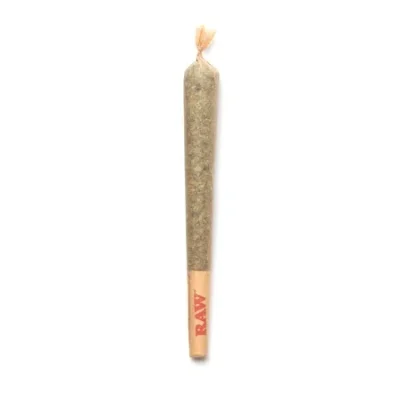 House Pre Roll - Large - King Louie XIII (AAAA)